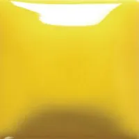 FN002 Yellow